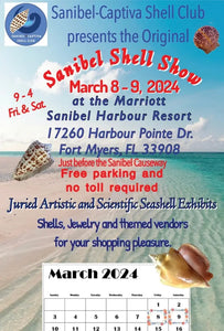 Sanibel Shell Show 2024