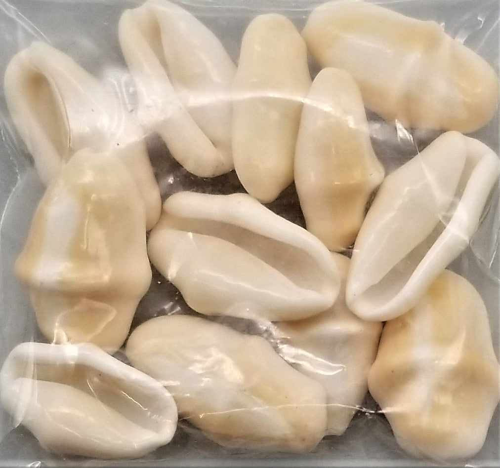 Micropolitan Shells Miscellaneous – Shells for Artists