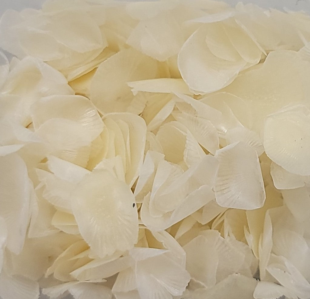 Fish Scales – Shells for Artists