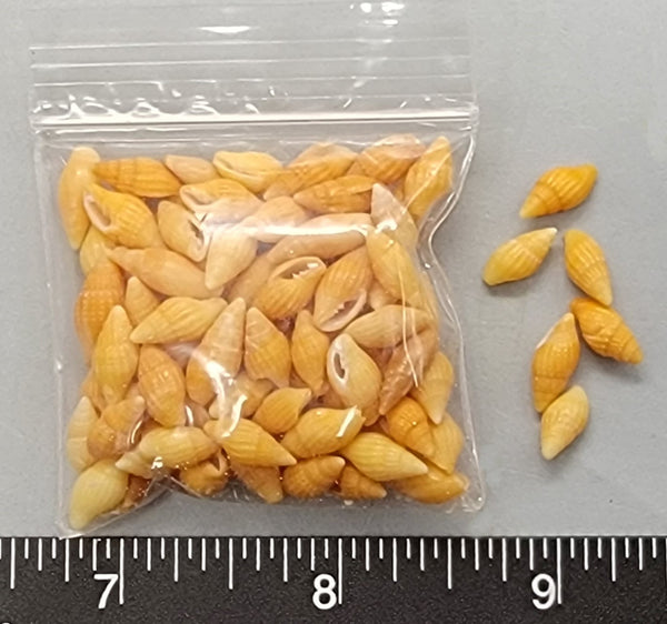 Tiny Bright Orange Miters - 9mm to 13mm - 2"x2" bag