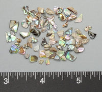 Small Abalone Chips - 2mm to 6mm - 2"x2" bag