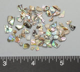 Small Abalone Chips - 2mm to 6mm - 2"x2" bag