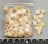 Peach Caycays - 10mm to 15mm - 2.5" x 2.5" bag