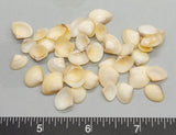 Peach Caycays - 10mm to 15mm - 2.5" x 2.5" bag