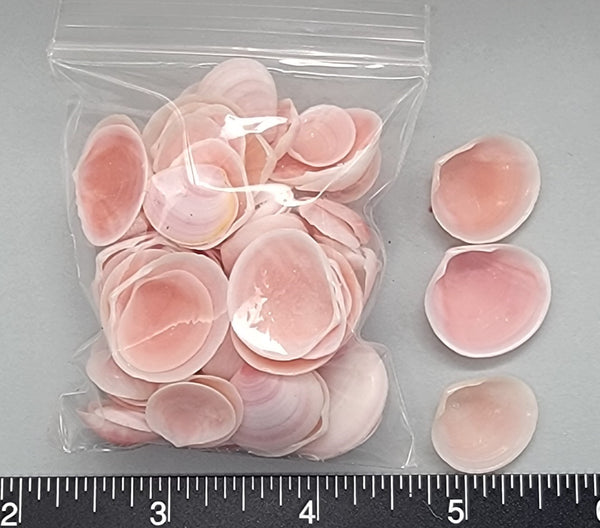 Dark Rose Cups - 10mm to 20mm - 2.5" x 3" bag
