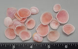 Dark Rose Cups - 10mm to 20mm - 2.5" x 3" bag