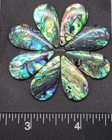 Abalone Teardrop Cabochons - 12mm x 25mm - 8pcs