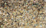 Tiny Abalone Chips - 0.5mm to 2mm - 2" x 2" bag