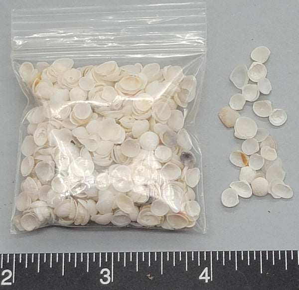 Baby White Cups - 4mm to 6mm - 2" x 2" bag