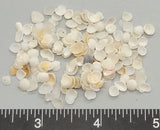 Baby White Cups - 4mm to 6mm - 2" x 2" bag
