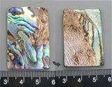 Abalone Rectangle - 1 Piece - 27mm X 40mm