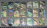 Abalone Rectangle - 1 Piece - 27mm X 40mm