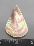 Pearl Oyster Teardrop - 52mm x 35mm - 1pc