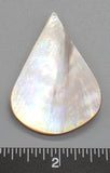 Pearl Oyster Teardrop - 52mm x 35mm - 1pc