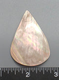 Pearl Oyster Teardrop - 52mm x 35mm - 1pc