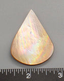 Pearl Oyster Teardrop - 52mm x 35mm - 1pc