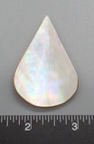 Pearl Oyster Teardrop - 52mm x 35mm - 1pc