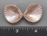 Pink Brooch Clams 23mm x 20mm to 30mm x 26mm - 1 Pair
