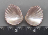 Pink Brooch Clams 23mm x 20mm to 30mm x 26mm - 1 Pair