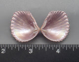 Lavender Brooch Clams 23mm x 20mm to 30mm x 26mm - 1 Pair