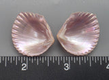 Lavender Brooch Clams 23mm x 20mm to 30mm x 26mm - 1 Pair
