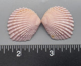 Lavender Brooch Clams 23mm x 20mm to 30mm x 26mm - 1 Pair