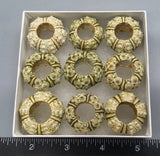 Green Urchins - 9 pcs - 24mm to 28mm