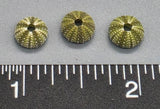 Tiny Green Japanese Urchins - 12 pcs - 7mm to 8mm