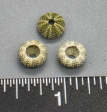 Tiny Green Japanese Urchins - 12 pcs - 7mm to 8mm