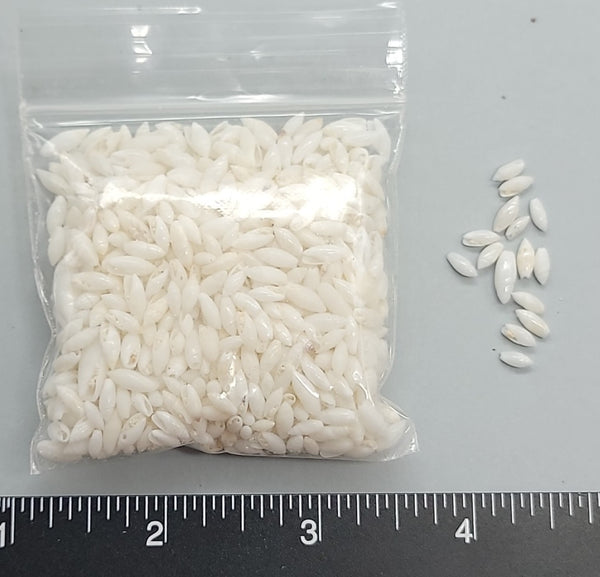 Traditional White Rice Shells from Florida - 5mm to 8mm - 2.5"x2.5" bag