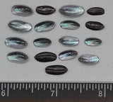 Black False Abalone - 10mm to 14mm - 20pcs