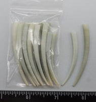 Short Jade Tusk shells