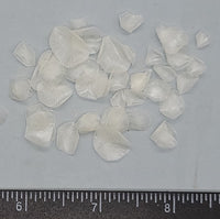 Smaller Tarpon Fish Scales - 7mm to 15mm - 1.75" x 2" x 1" box