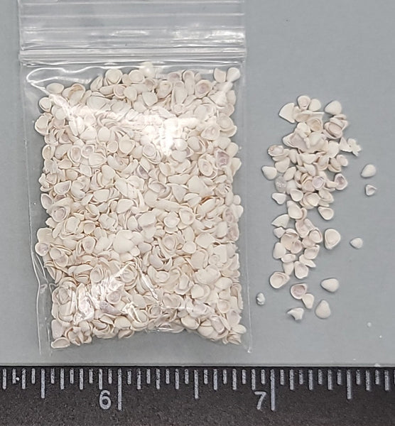 White Lilac Shells - 2mm to 4mm - 1.5"x2" bag