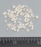 White Lilac Shells - 2mm to 4mm - 1.5"x2" bag