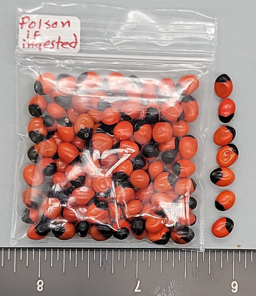 Crab Eyes/Rosary Peas - 4mm to 6mm - 2"x2" bag