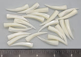Pure white Mother of Pearl horn shapes - 33mm to 35mm - 24pcs - Undrilled