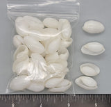 Glossy White Bubble Shells - 18mm to 22mm - 32pcs