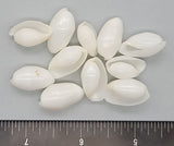 Glossy White Bubble Shells - 18mm to 22mm - 32pcs