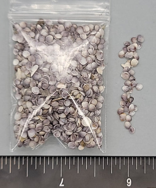Purpley-gray Gemma Clams - 2mm to 3.5mm - 1.5"x2" bag