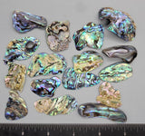 Polished abalone pieces - Undrilled