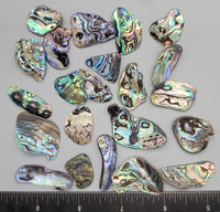 Polished abalone pieces - Undrilled
