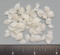 Very pretty triangular clam shells - 5mm to 8mm - 2" x 2" bag