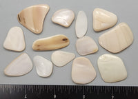 Tumbled polished Freshwater Mother of Pearl pieces - 15mm to 25mm - 2" x 2" bag