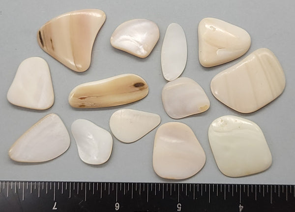 Tumbled polished Freshwater Mother of Pearl pieces - 15mm to 25mm - 2" x 2" bag