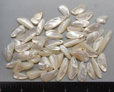 Lustrous Mother of Pearl Drops - 15mm to 35mm - 50pcs