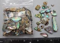 Abalone Chips - 4mm to 20mm - 2.5" x 2.5" bag