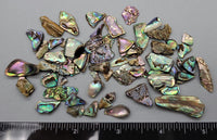 Abalone Chips - 4mm to 20mm - 2.5" x 2.5" bag