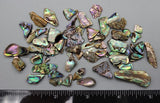 Abalone Chips - 4mm to 20mm - 2.5" x 2.5" bag