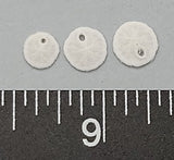 Teeny Tiny Keyhole Sand Dollar - 4mm to 7mm - 32pcs